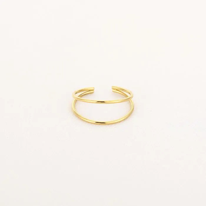 Double basic ring